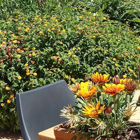 Sole E Mare מלון *