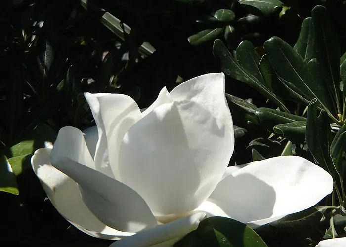 Hotell Sole E Mare Saint-Florent (Corsica)